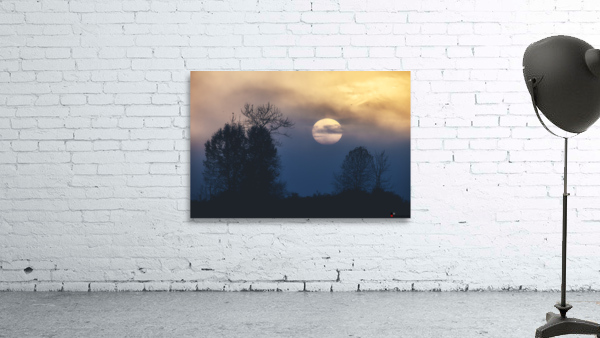FS221019 255 Wall Preview