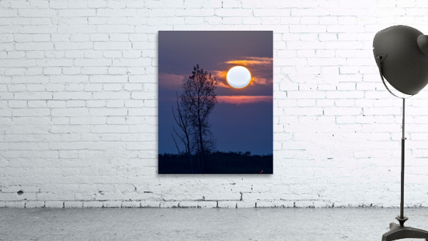 SETTING SUN 22 Wall Preview