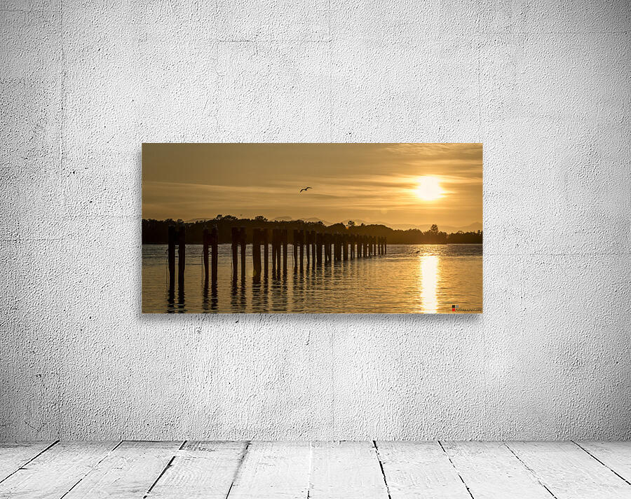GILBERT BEACH 22 Wall Preview