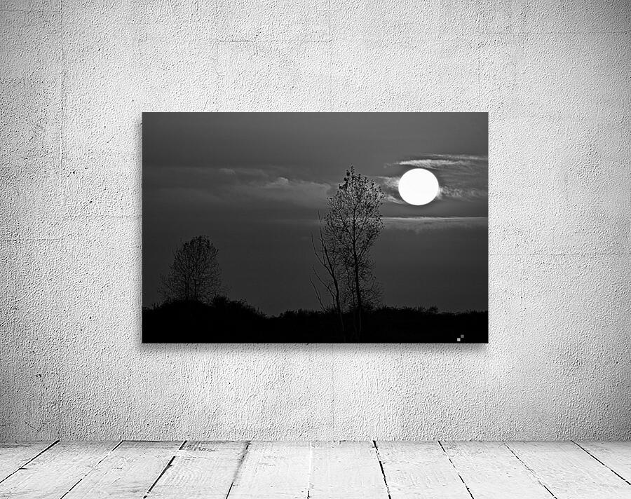 SUNSET AT STEVESTON BW Wall Preview