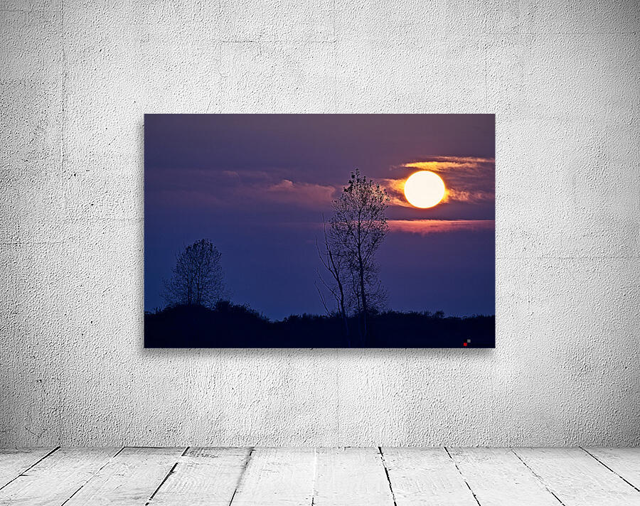SUNSET AT STEVESTON Wall Preview