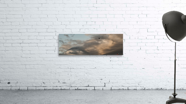COLUDSCAPE WITH A GULL Wall Preview