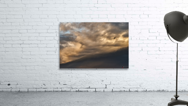 FS221128A Wall Preview