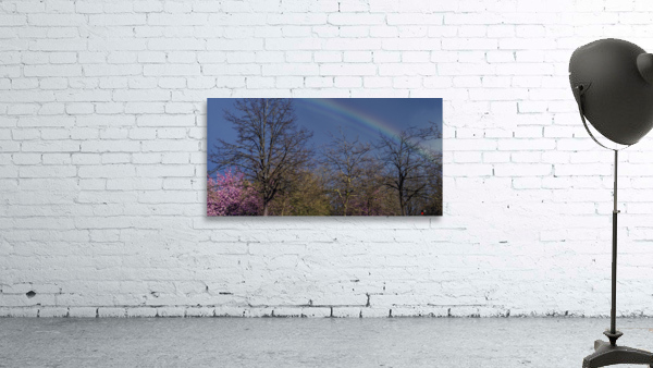 FS100415 RAINBOW IN SPRING Wall Preview