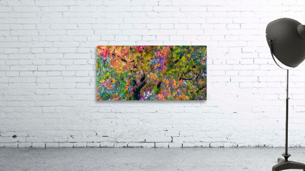 FS051016 Wall Preview