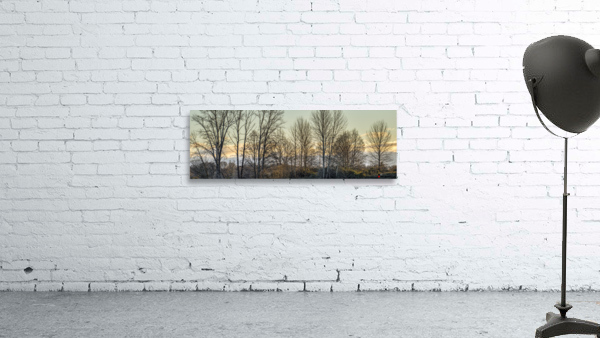 FS221214 073 Wall Preview