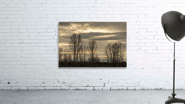 WINTER TREES 2023 Wall Preview