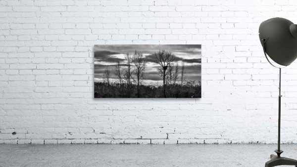 FS230103BW Wall Preview