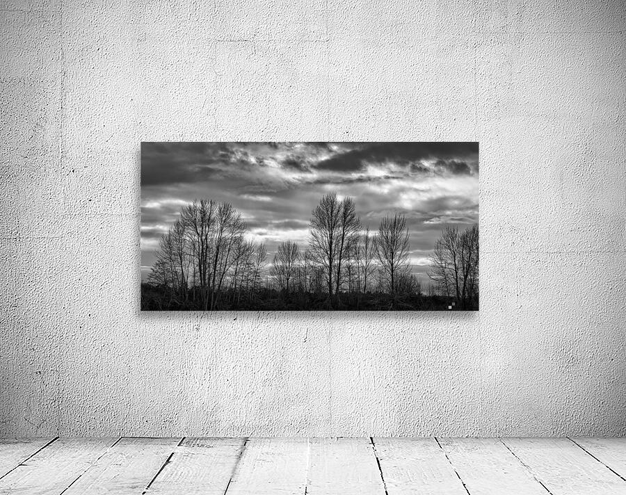 FS230103 05BW Wall Preview
