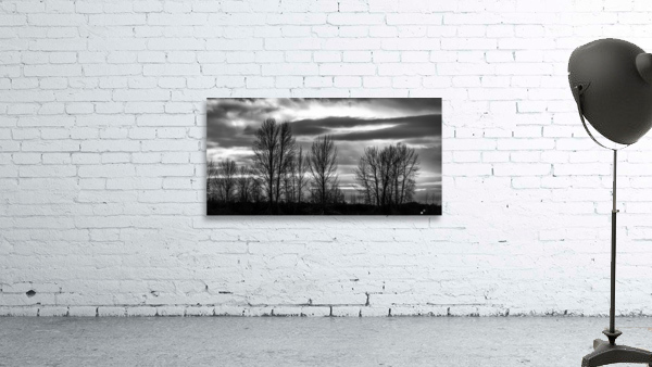 FS230103 BW Wall Preview
