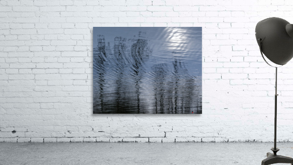 FS230104 117 Wall Preview
