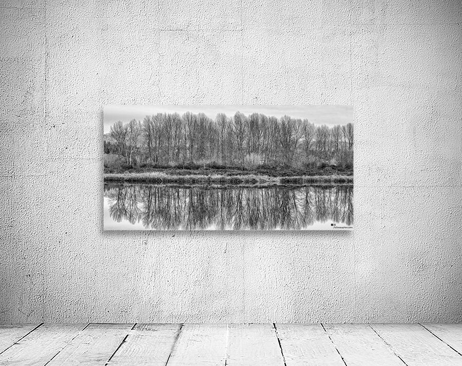 FS230104BW Wall Preview
