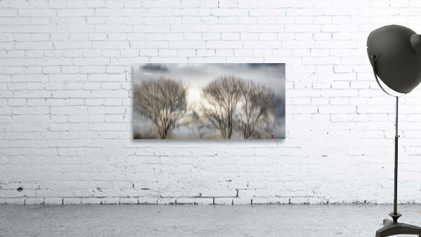 FS230119 029 Wall Preview