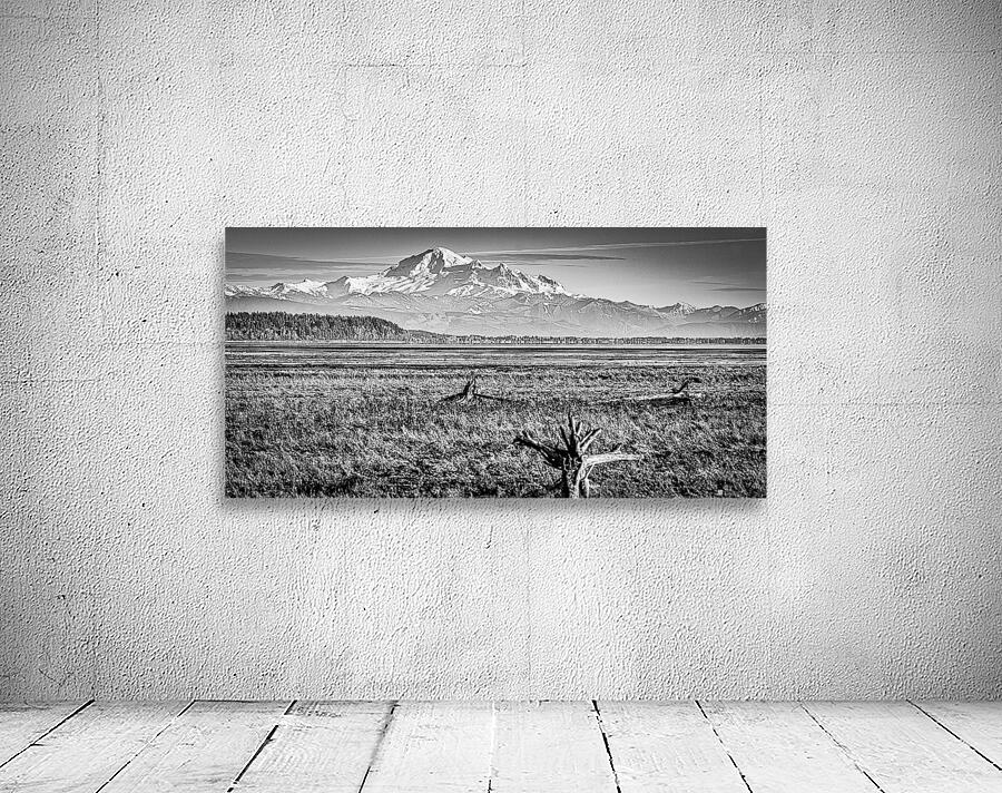 Mount Baker b w Wall Preview