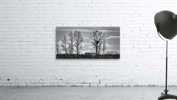 FS230208BW Wall Preview