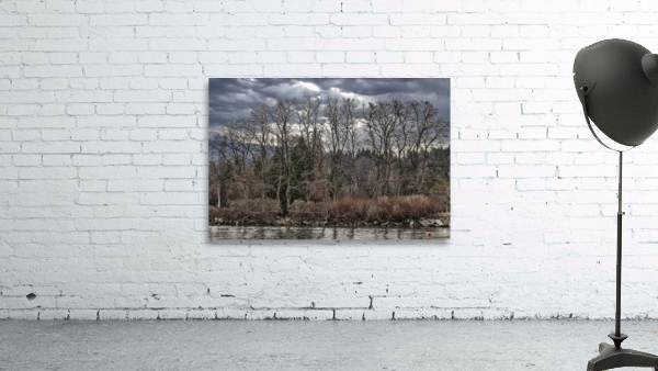 FS230104 Wall Preview