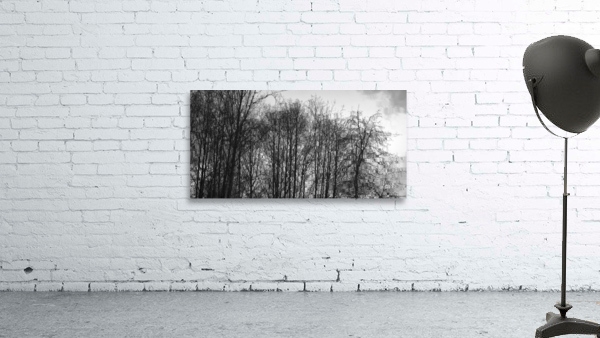 FS230215 215 Wall Preview