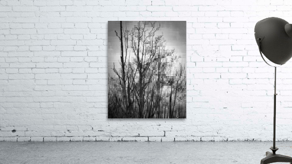 FS230215BW Wall Preview