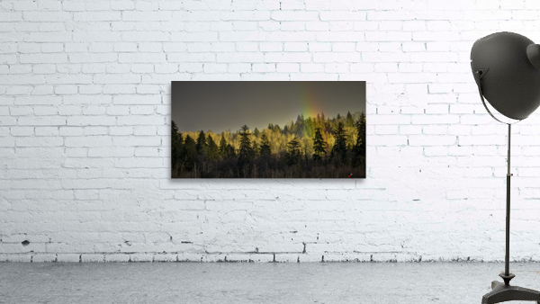 RAINBOW 2023 Wall Preview