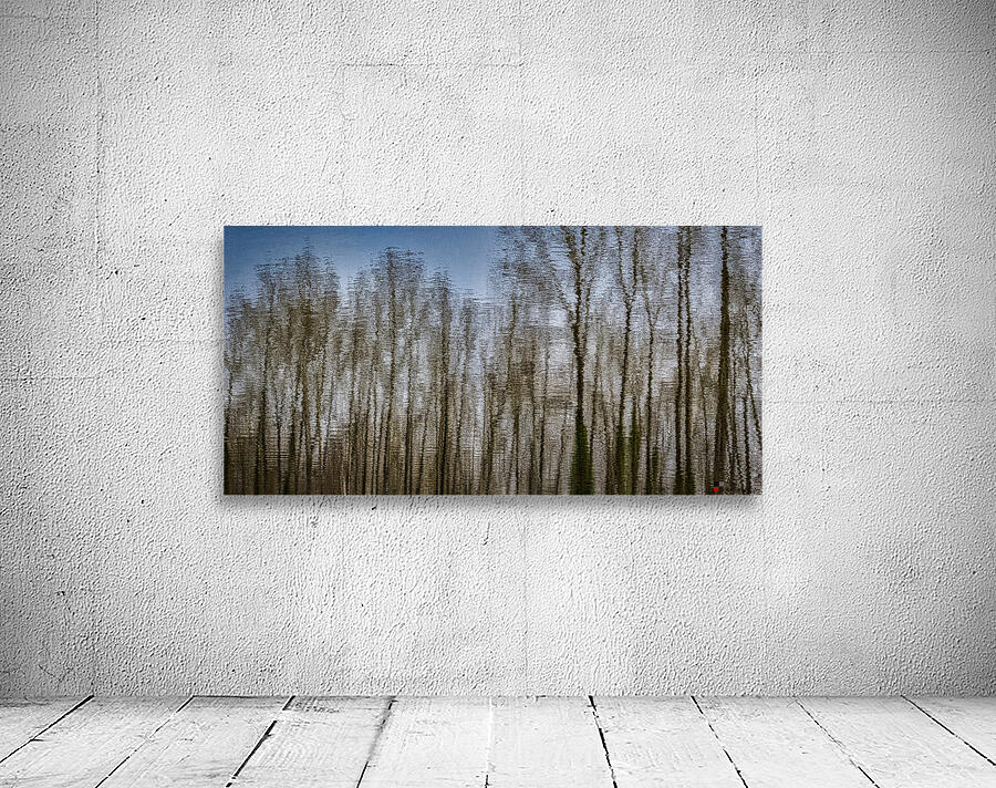 TREE REFLECTION ON WATER 2023 Wall Preview