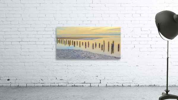 Shoreline 2018 Wall Preview