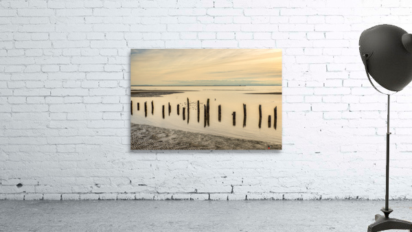 IONA BEACH 2018 Wall Preview