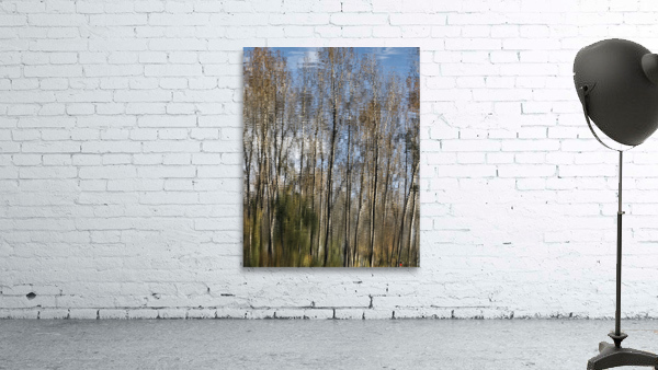FS201107  TREE REFLECTION Wall Preview