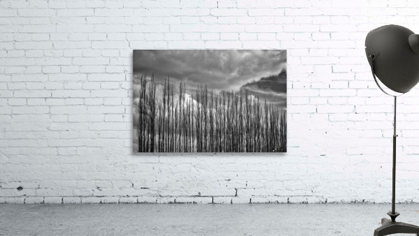 FS230307BW2 Wall Preview