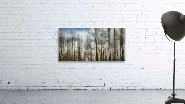 FS230307 057 Wall Preview