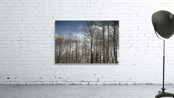 FS230307 082 Wall Preview