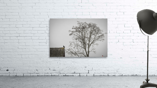 20230317 Wall Preview