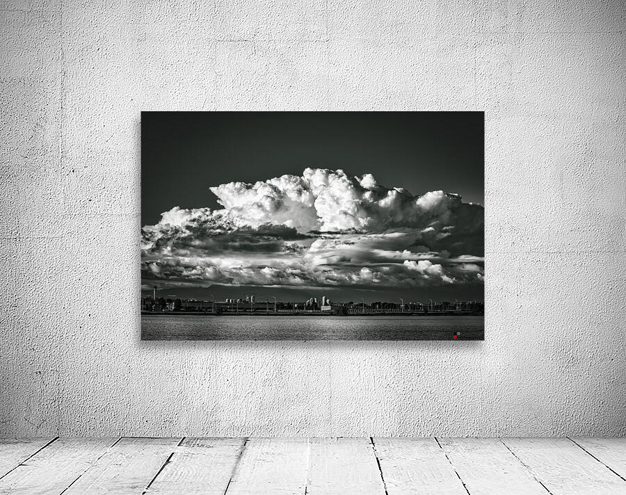 FS210614BW Wall Preview