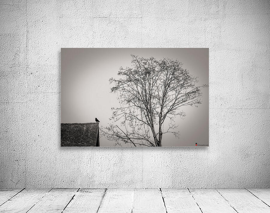 FS230317 MONO Wall Preview
