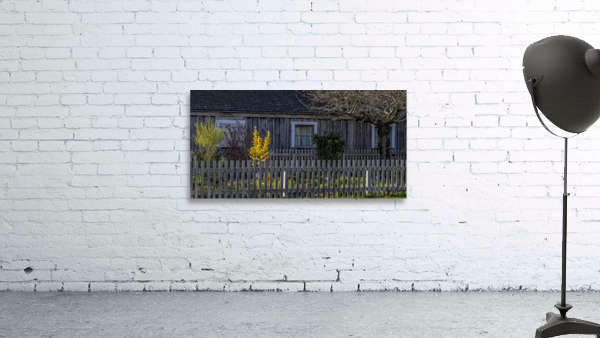 FS230401 240 Wall Preview