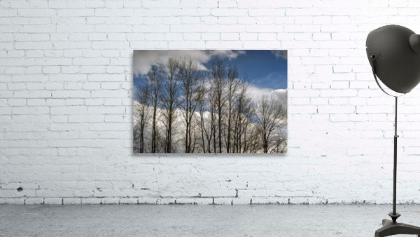 FS230307 030 Wall Preview