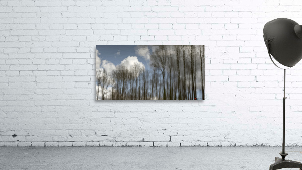 FS230401 151 Wall Preview