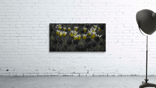 FS210501 232 Wall Preview