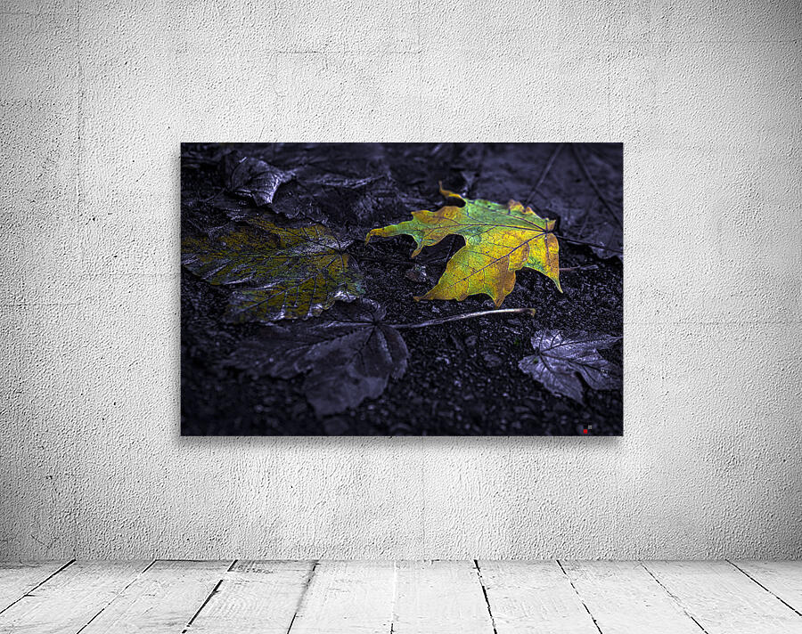FALLEN LEAVES Wall Preview