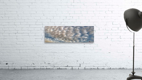 GEESE 2013 Wall Preview