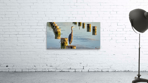 FS230716 5 Wall Preview
