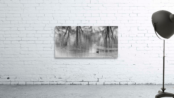 FS230104BW2 Wall Preview