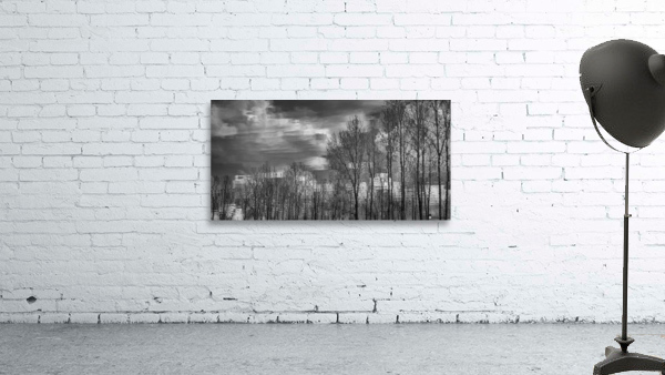 FS230401 074BW Wall Preview