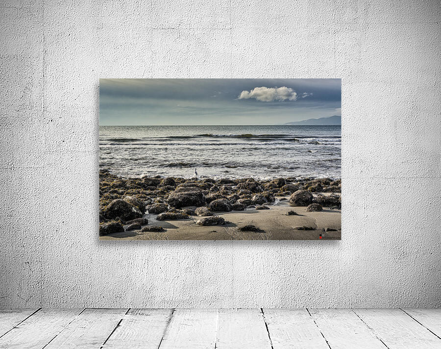 SEASCAPE AT WRECK BEACH Wall Preview