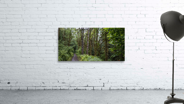 FS180630 07 Wall Preview