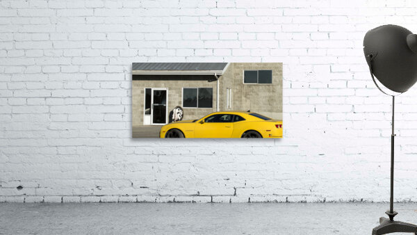 FS231007 2 WINDOWS Wall Preview