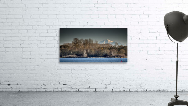 Mount Baker Wall Preview
