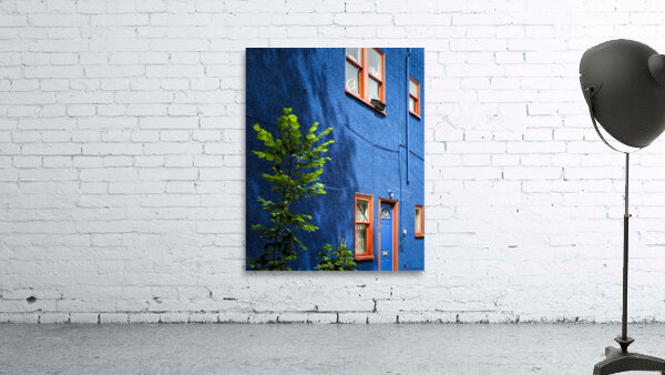 FS160517 Windows Wall Preview