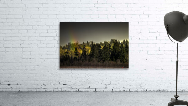 FS230221A Wall Preview