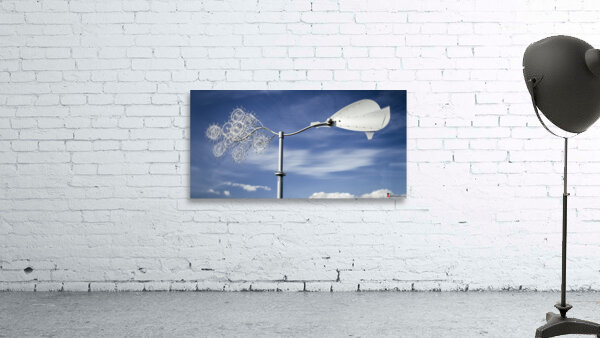 FS230425 WIND BLOWS Wall Preview
