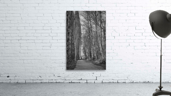 FS231127BW Wall Preview